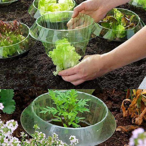 VEGISHIELD-GALLERY-IMG2-min