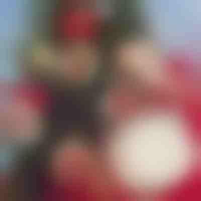 DIY Χριστουγεννιάτικη Διακόσμηση (30 τεμάχια) | ORNAMENTIFY