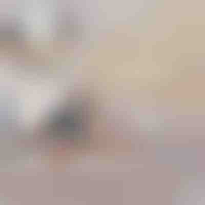 Φουσκωτός Καναπές που Μετατρέπεται σε Κρεβάτι | SOFLINKA