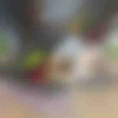 Πολυκόφτης & κόφτης λαχανικών 12 σε 1 (περιλαμβάνονται 7 λεπίδες) | CHOPMASTER