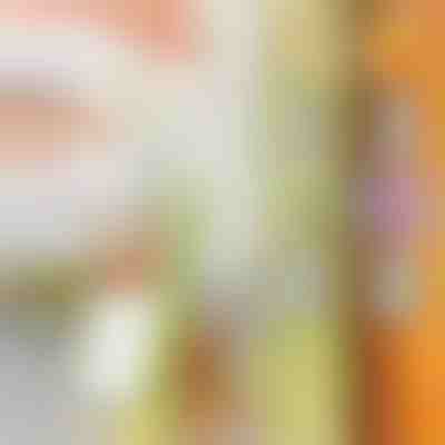 Κόφτης πολλαπλών χρήσεων | SLICEWISE