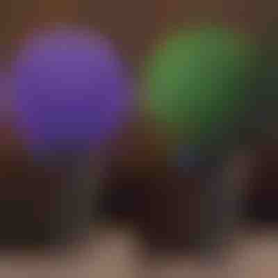 Διακοσμητική φυτική σφαίρα | TOPIORB