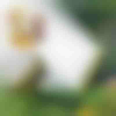 Ψεκαστήρας λάστιχου πολλαπλών κεφαλών | SPRAYMASTER