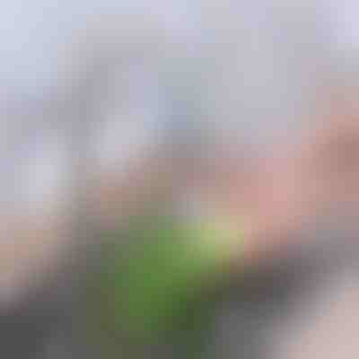 Προηγμένο φίλτρο βρύσης ενεργού άνθρακα | CHARFILTER