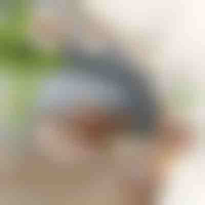 Διαδραστικό παιχνίδι πουλιού με φτερούγισμα | CHIRRCAT